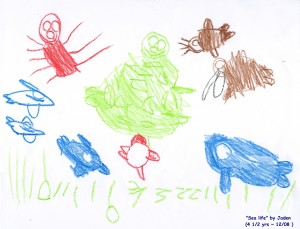 A picture of sea life drawn by Jaden, a five year old fan of Birdsong and the Eco-Wonders