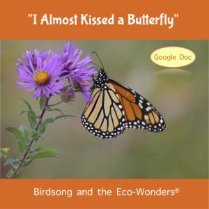 I Almost Kissed A Butterfly (Lesson and Song Download)