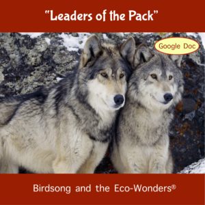 Image Links to video page for "Leaders of the Pack"