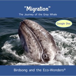 Migration (Lesson and Song Download)