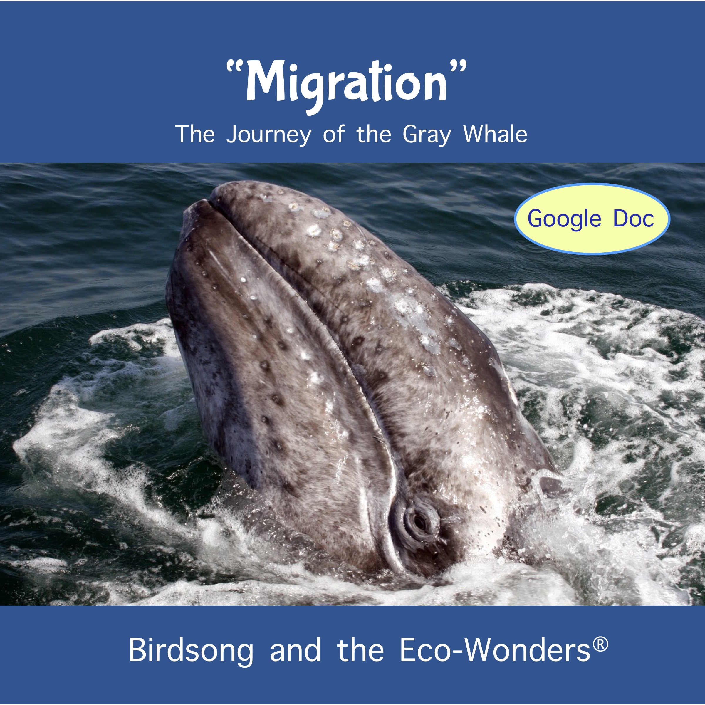 Migration (Lesson and Song Download) • Birdsong and the Eco-Wonders • Animal  Songs for Kids