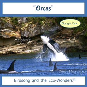 Orcas - (Lesson and Song Download)