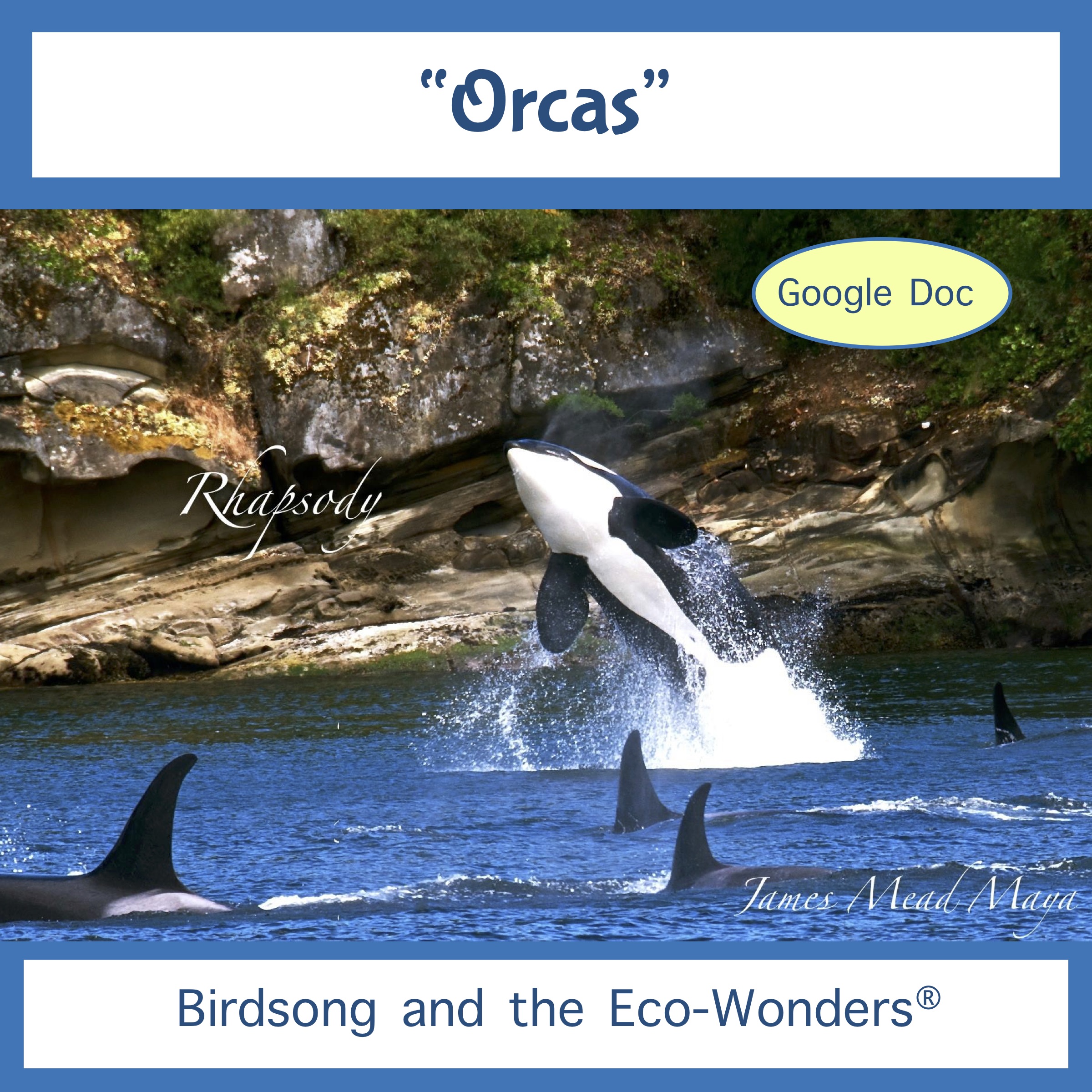 Orcas – (Lesson and Song Download) • Birdsong and the Eco-Wonders • Animal  Songs for Kids