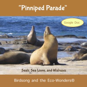 Pinniped Parade (Lesson and Song Download)