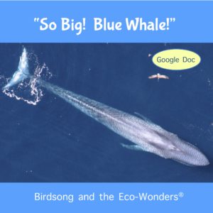 So Big! Blue Whale! (Lesson and Song Download)