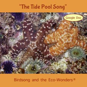 The Tide Pool Song (Lesson and Song Download)
