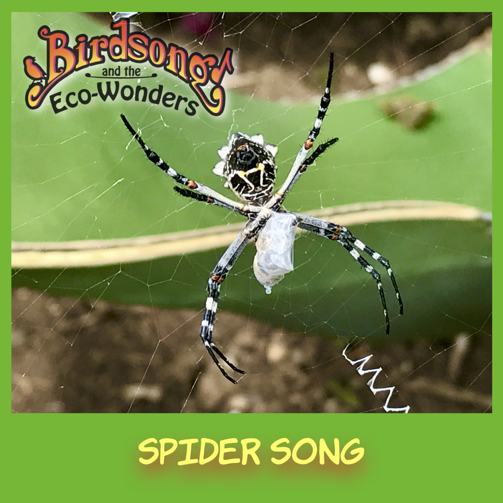 spider song