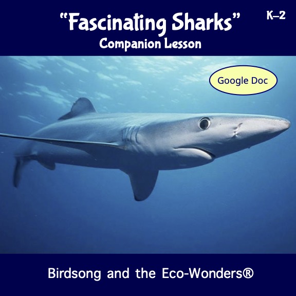Fascinating Sharks (Lesson and Song Download) • Birdsong and the  Eco-Wonders • Animal Songs for Kids
