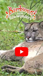 New Year 2026 Video from Birdsong and the Eco-Wonders. 